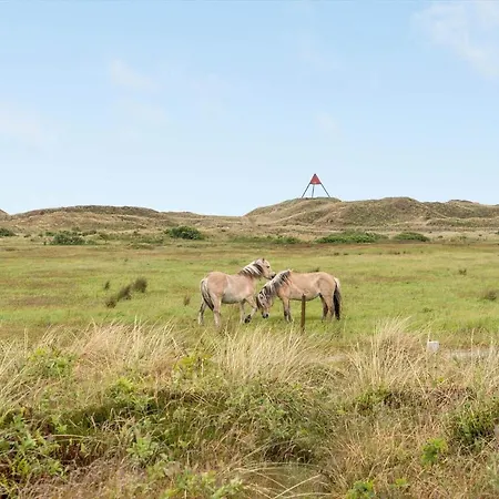 509-hvide-sande-vinterlejevej-67 *